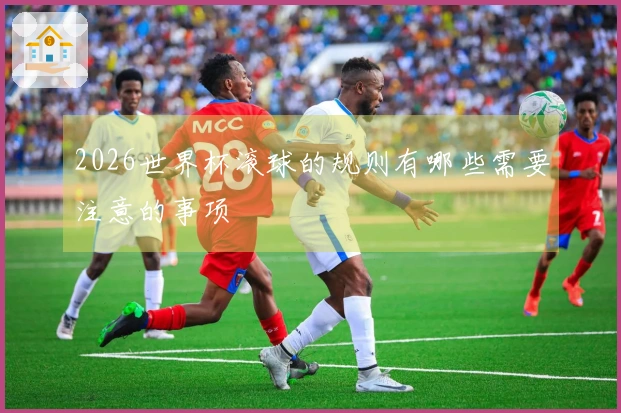 2026世界杯滚球的规则有哪些需要注意的事项