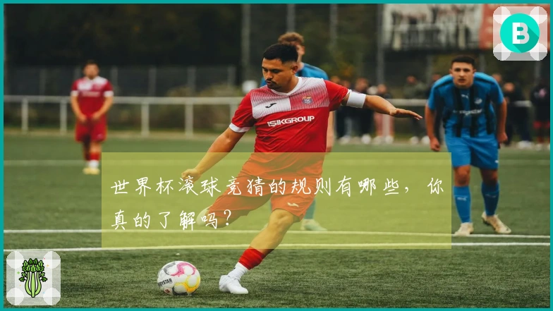 世界杯滚球竞猜的规则有哪些，你真的了解吗？