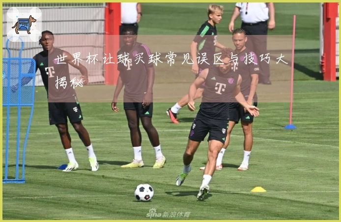 世界杯让球买球常见误区与技巧大揭秘