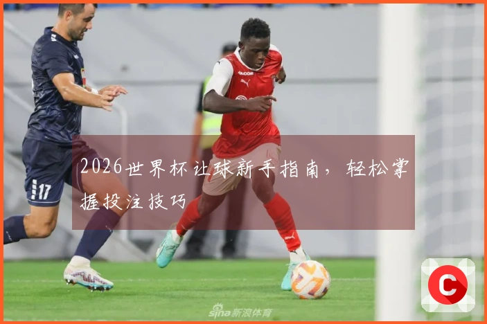 2026世界杯让球新手指南，轻松掌握投注技巧