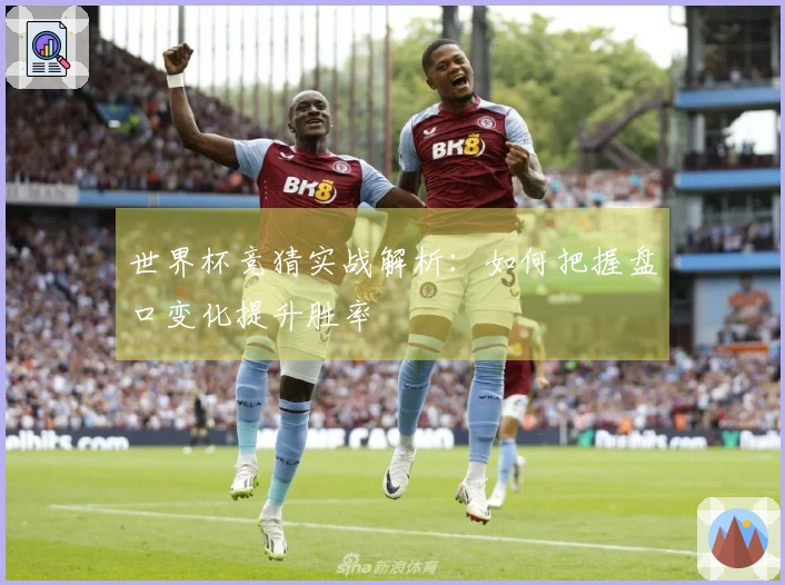 世界杯竞猜实战解析：如何把握盘口变化提升胜率