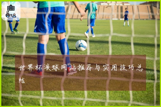 世界杯滚球网站推荐与实用技巧总结