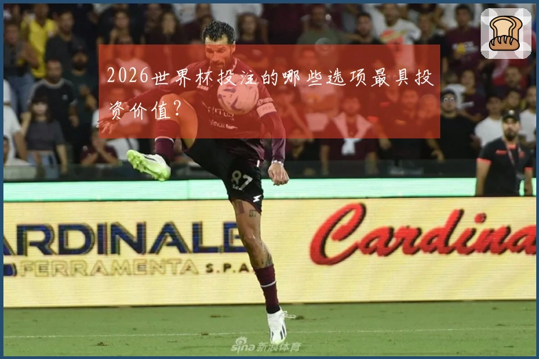 2026世界杯投注的哪些选项最具投资价值？